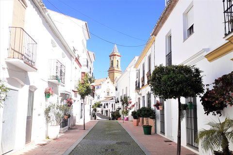 Von Marbella aus: Gibraltar und Estepona private Tour