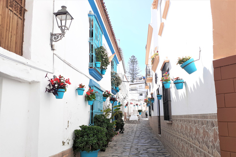 Von Marbella aus: Gibraltar und Estepona private Tour