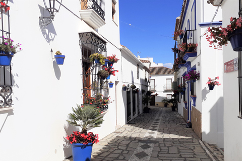 From Marbella: Gibraltar and Estepona private tour