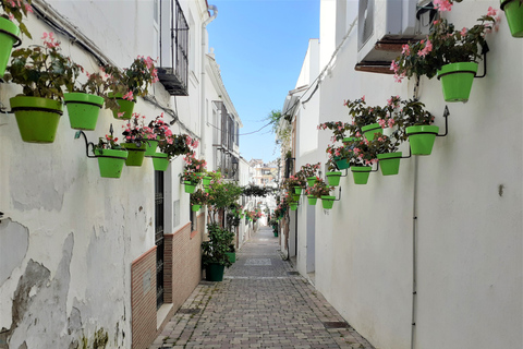 Von Marbella aus: Gibraltar und Estepona private Tour