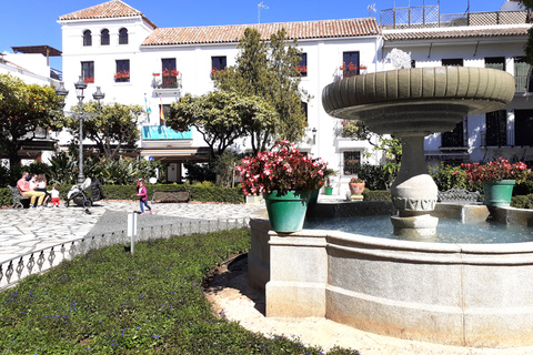 Vanuit Marbella: privétour Gibraltar en Estepona