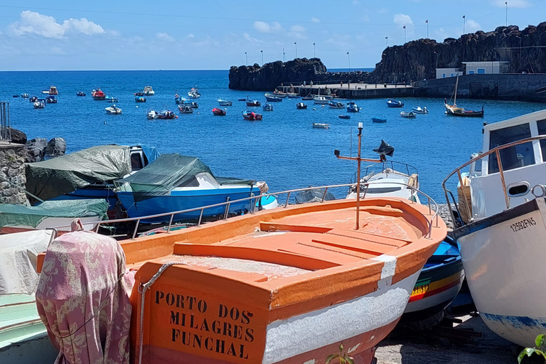 Do Funchal: Passeio 4x4 Guiado pela Floresta dos Eucaliptos