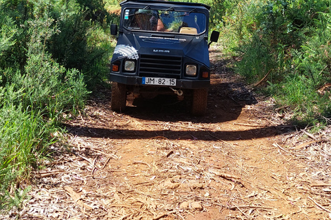 From Funchal: Eucalyptus Forest Guided 4x4 Tour