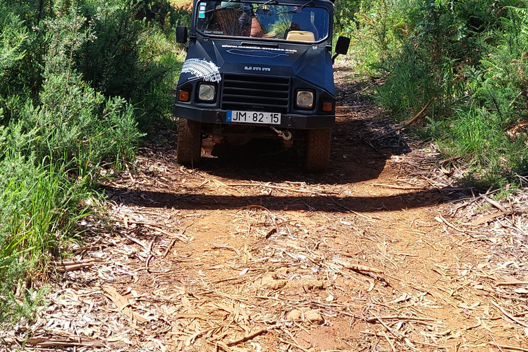 From Funchal: Eucalyptus Forest Guided 4x4 Tour