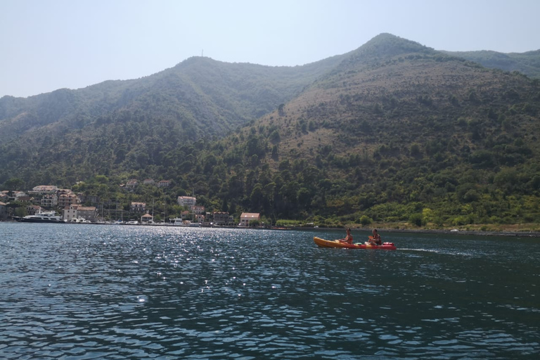 Kotor: Excursión guiada en kayak por la bahía de Kotor