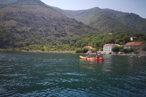 Kotor: Excursión guiada en kayak por la bahía de Kotor