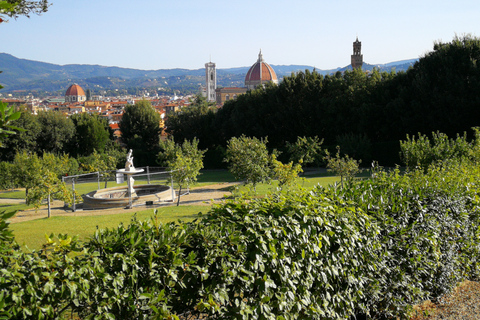 Florence: Pitti Palace, Boboli Garden, Palatine Gallery Tour Tour in English