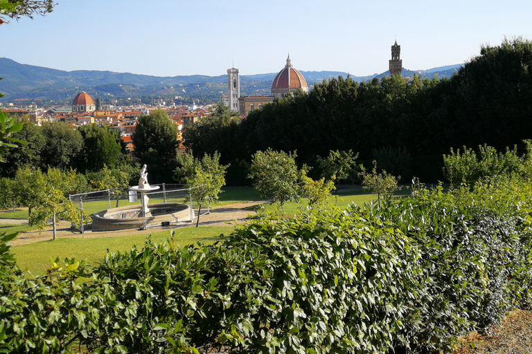 Florence: Pitti Palace, Boboli Garden, Palatine Gallery Tour Tour in English