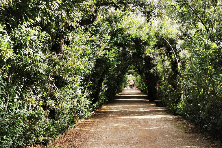 Florence: Pitti Palace, Boboli Garden, Palatine Gallery Tour Tour in English