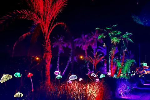 IBIZA: Astro Magic Lights at Bibo Park