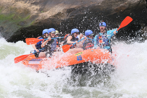 Huśtawka Aloha Ubud i rafting na białej wodzie