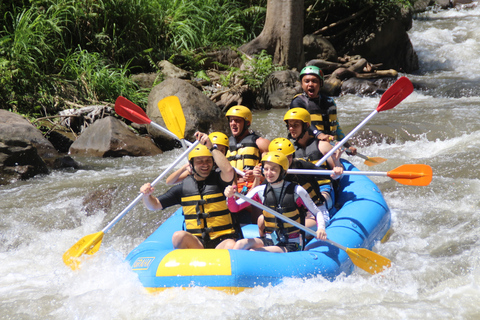 Bali: Ubud Swing e White Water Rafting con trasferimento privato