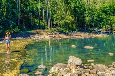 Mauritius: escursione guidata alle Black River Gorges con prelievo dall'hotel