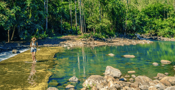 Mauritius: Black River Gorges Guided Hike with Hotel Pickup
