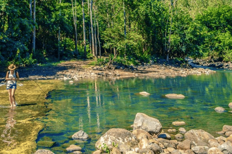 Randonnée dans le Parc national des Gorges de la Rivière Noire avec prise en charge