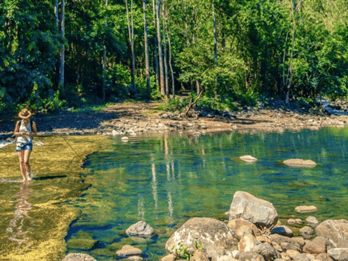 Mauritius: escursione guidata alle Black River Gorges con prelievo dall'hotel
