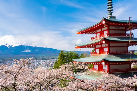 Shinjuku: Mount Fuji Panoramic View and Shopping Day Tour