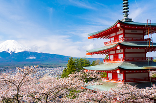 Shopping Tours in Tokyo
