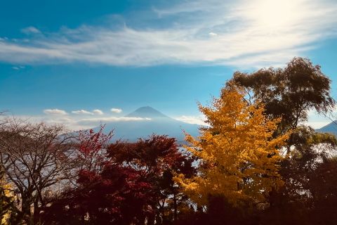 Shinjuku: vista panoramica del Monte Fuji e tour di un giorno per lo shopping