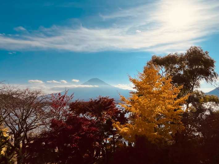Shinjuku: vista panoramica del Monte Fuji e tour di un giorno per lo shopping