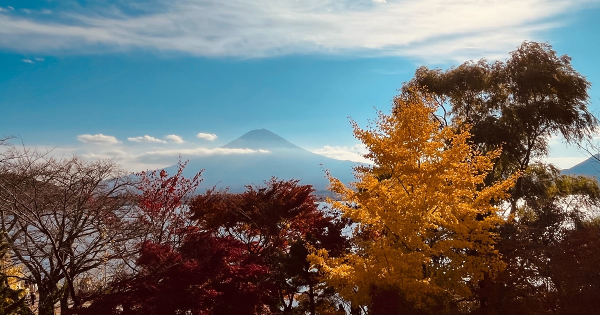 Shinjuku: Mount Fuji Panoramic View and Shopping Day Tour | GetYourGuide