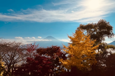 Shinjuku: Mount Fuji Panoramic View and Shopping Day Tour