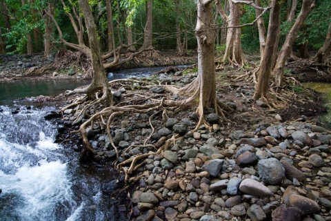 Senderismo en el Parque Nacional de las Gargantas del Río Negro con recogida
