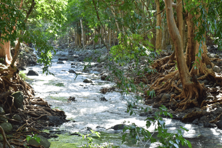 Senderismo en el Parque Nacional de las Gargantas del Río Negro con recogida