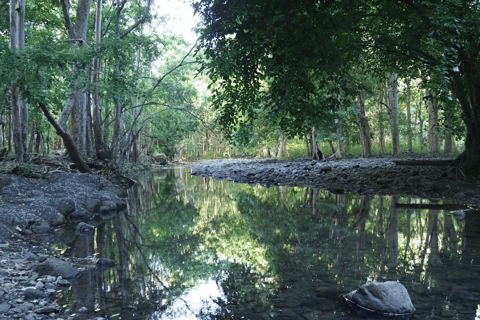 Senderismo en el Parque Nacional de las Gargantas del Río Negro con recogida