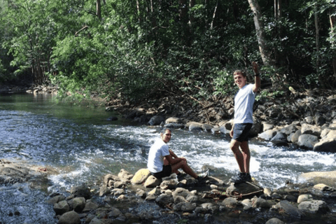 Randonnée dans le Parc national des Gorges de la Rivière Noire avec prise en charge