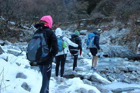 Da Kathmandu: 9 giorni di trekking nella valle del Langtang