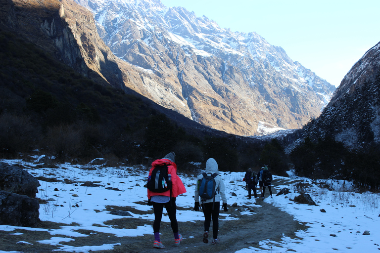 Da Kathmandu: 9 giorni di trekking nella valle del Langtang