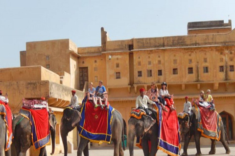 From Delhi: Jaipur Private Full-Day Guided Tour