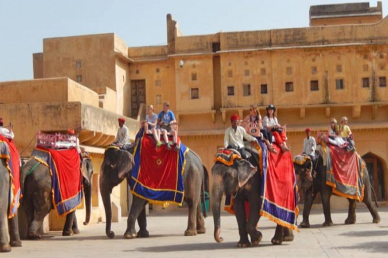 From Delhi: Jaipur Private Full-Day Guided Tour