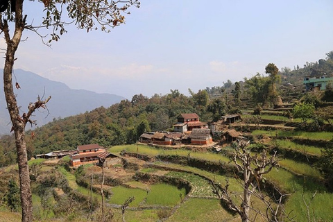 Från Pokhara: Guidad 3-dagars Mardi Himal Trek med måltiderFrån Pokhara: 3-dagars privat vandring i Mardi Himal