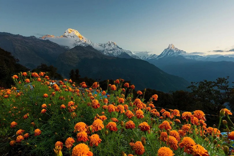 Vue panoramique de l'Everest avec coucher et lever du soleil