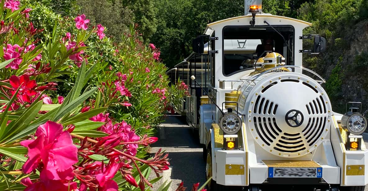 Afbeelding 1 van Grimaud: Rondleiding in Port Grimaud & Grimaud met de trein