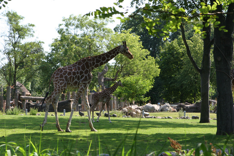 Copenhague Entrada al Zoo de Copenhague