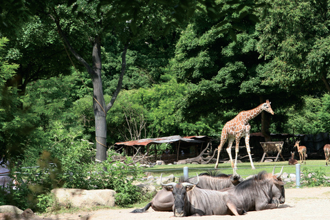 Kopenhagen: Eintrittskarte für den Kopenhagener Zoo