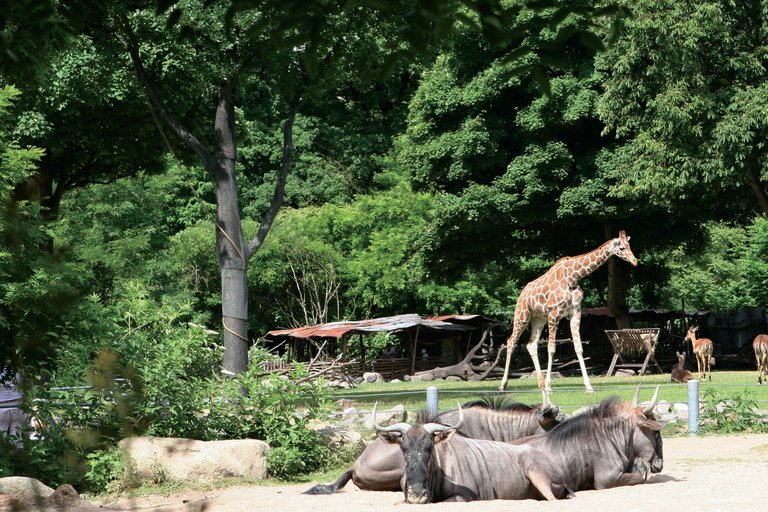 Kopenhaga: Bilet wstępu do zoo w Kopenhadze