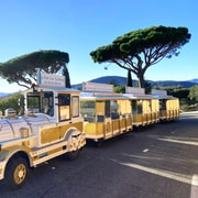 The Little Train of Sainte-Maxime