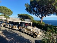 Le petit train de Sainte-Maxime - Housity