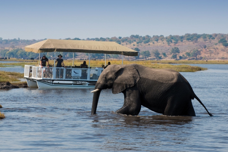 Chobe full day trip Guided tour in english