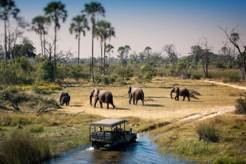 Chobe full day tripGuided tour in english