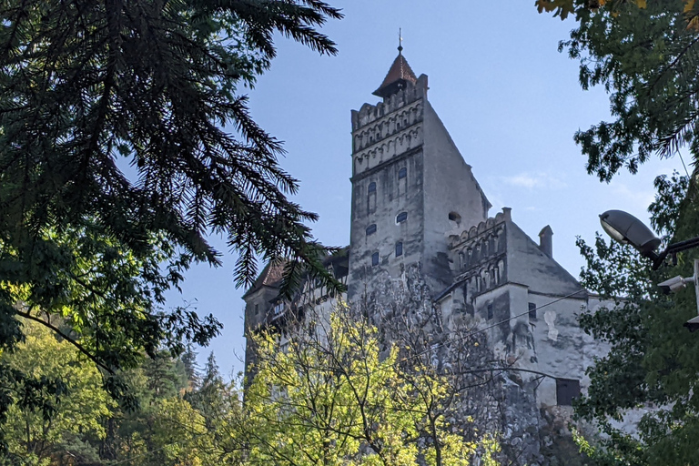 Bran: Dracula, Castle & Creepy Fun Zelfgeleide tour