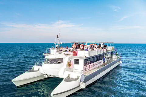 Valencia: Motor Catamaran cruise with Drink