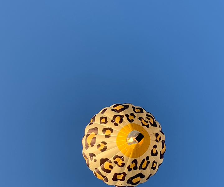 Serengeti: Exclusive Balloon Safari