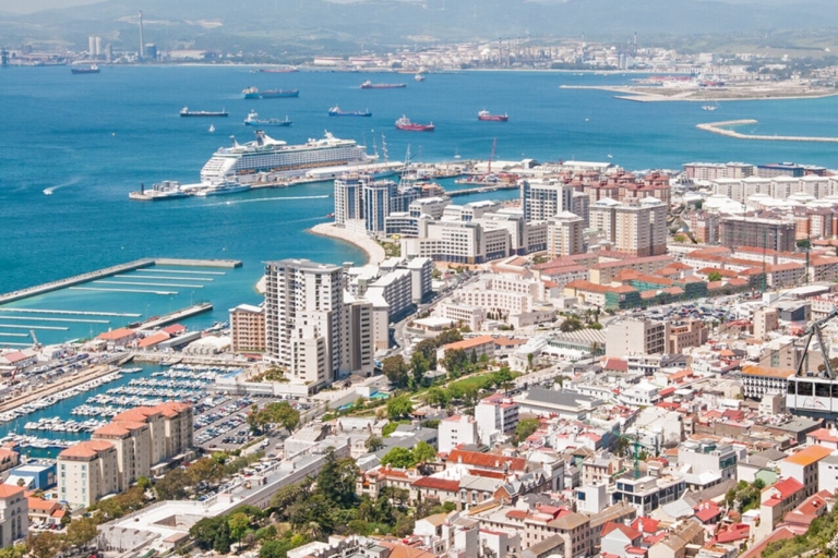 Depuis la Costa del Sol : Gibraltar avec observation des dauphins en bateauDepuis l'hôtel Estepona Hotel & Spa Resort