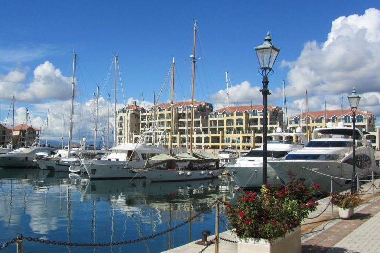 Depuis la Costa del Sol : Gibraltar avec observation des dauphins en bateauDepuis Benalmadena (Plaza Solymar)