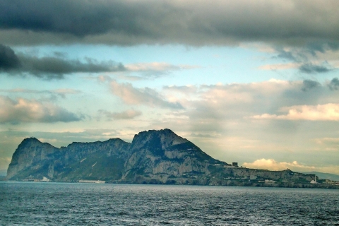 From Costa del Sol: Gibraltar with dolphin watching by boat From Malaga Centro